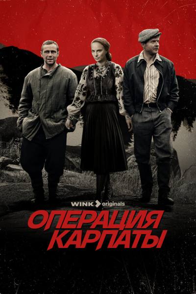 Операция «Карпаты» (2024)