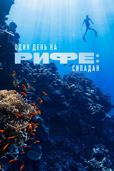 Один день на рифе: Сипадан (2024)